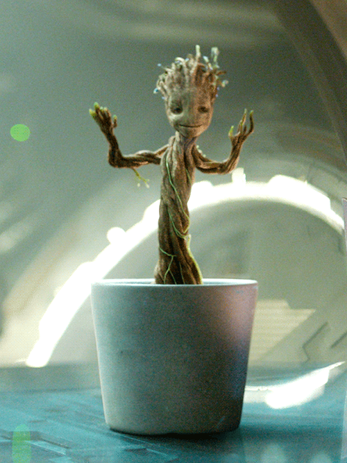 Groot Dancing