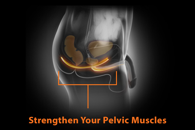 Strengthen Your Pelvic Muscles with the Private Gym
