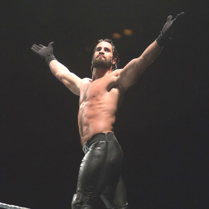 Seth Rollins naked cock pic, dick pic, nude, hard penis