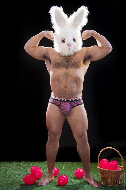Bunny Gay 14