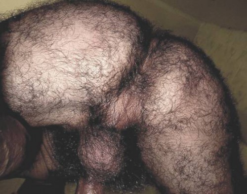 man, male, guy, hairy, furry, fuzzy, ass, butt, crack, balls